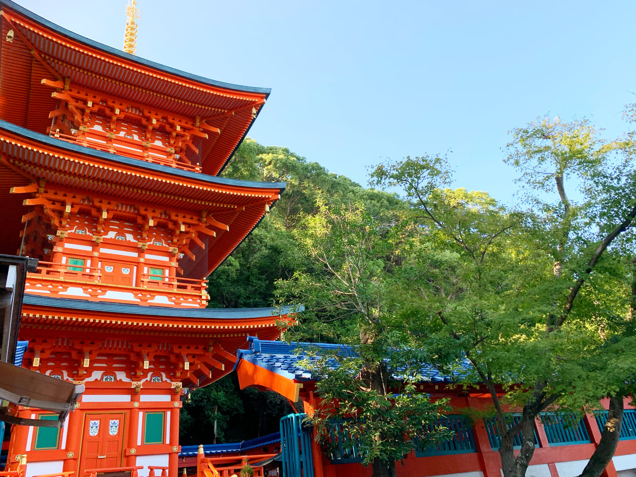 神戸市垂水区 須磨区 須磨寺の紅葉始まる おもしろいお寺って本当 副住職もyoutubeで話題 号外net 神戸市垂水区 須磨区