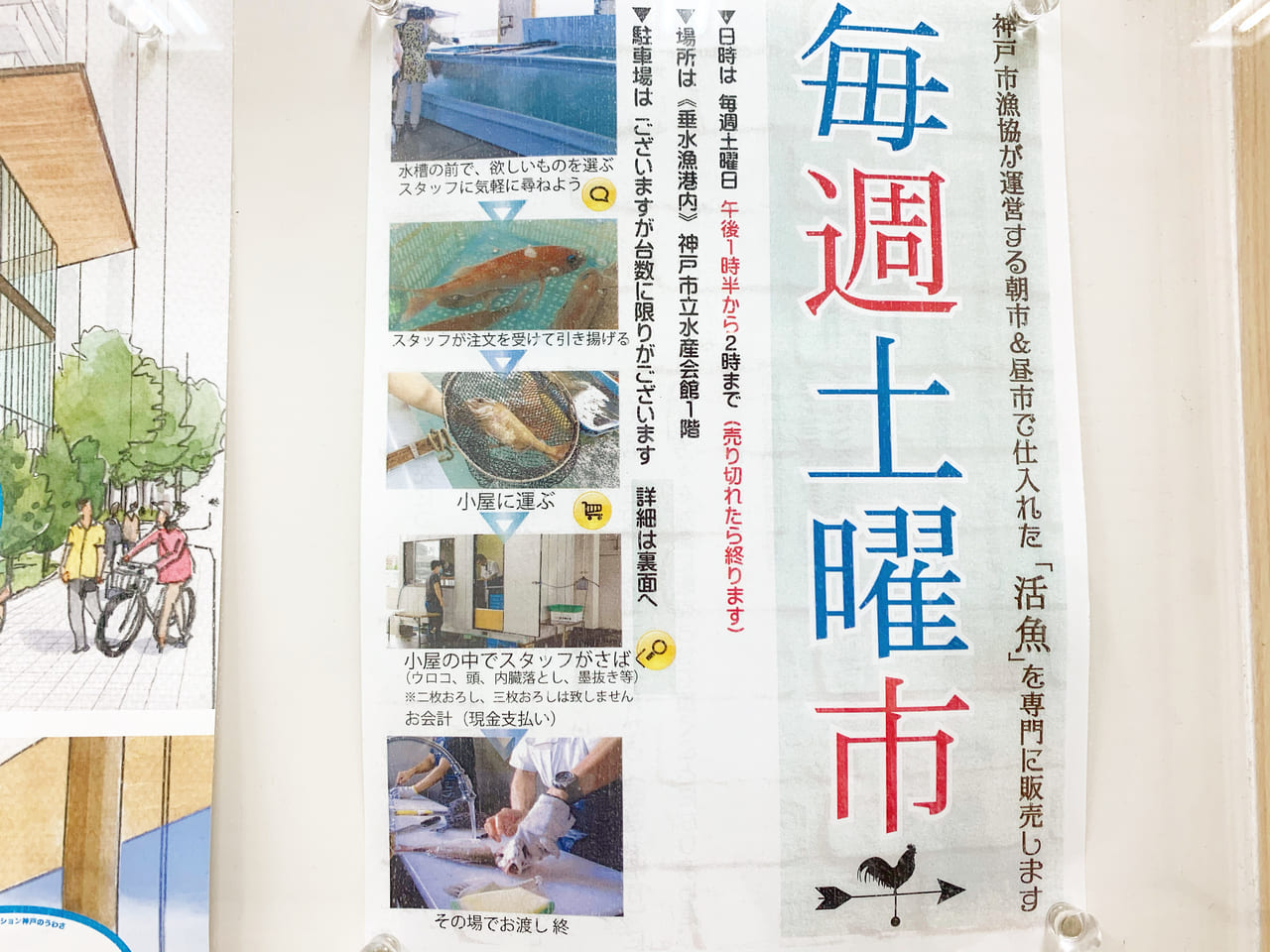 神戸市垂水区 須磨区 垂水漁港で 毎週土曜市 開催 市場で活魚を直売しています 須磨海苔も 号外net 神戸市垂水区 須磨区